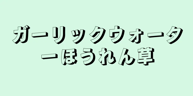 ガーリックウォーターほうれん草