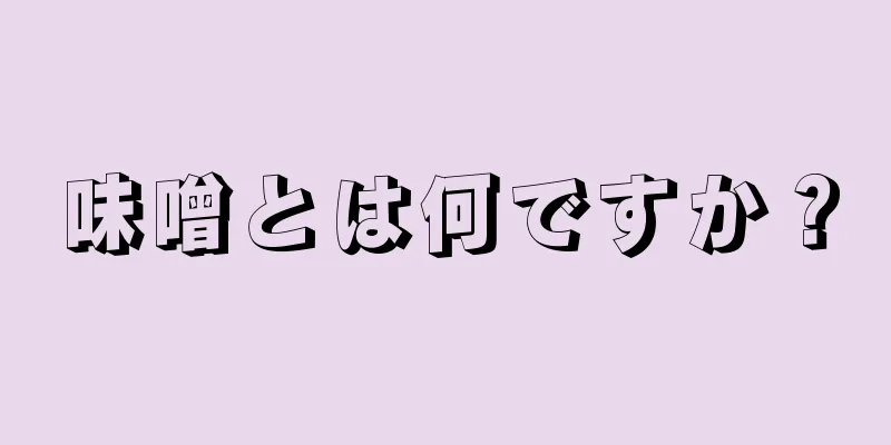 味噌とは何ですか？