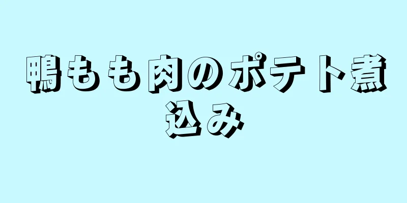 鴨もも肉のポテト煮込み