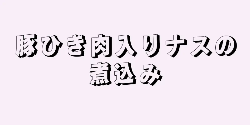 豚ひき肉入りナスの煮込み