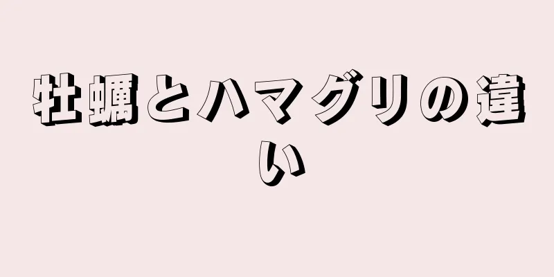 牡蠣とハマグリの違い