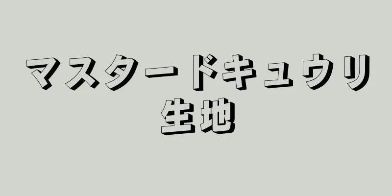 マスタードキュウリ生地