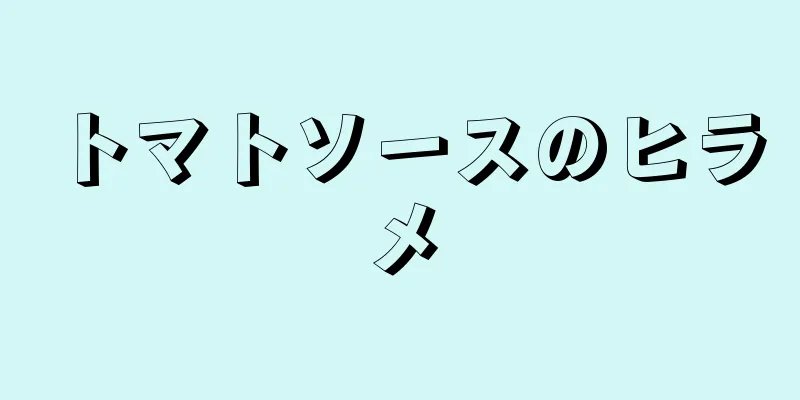 トマトソースのヒラメ