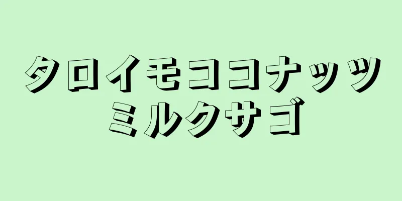 タロイモココナッツミルクサゴ