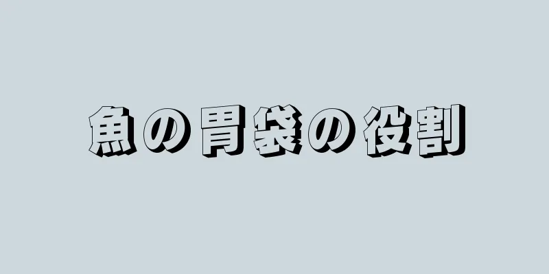 魚の胃袋の役割