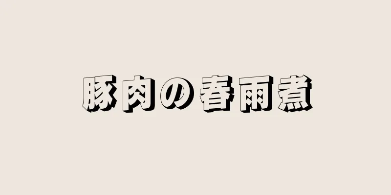 豚肉の春雨煮