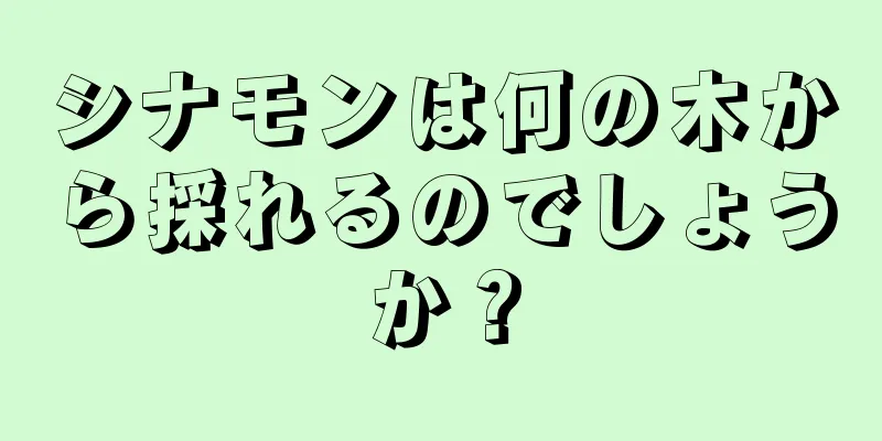 シナモンは何の木から採れるのでしょうか？