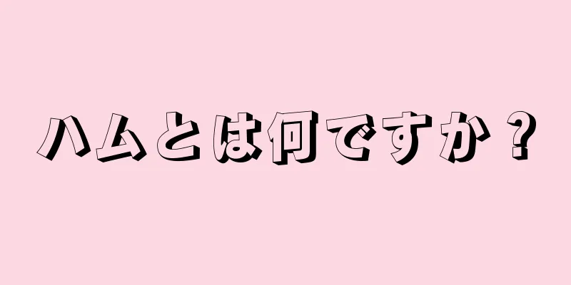 ハムとは何ですか？