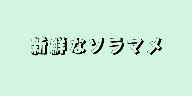 新鮮なソラマメ