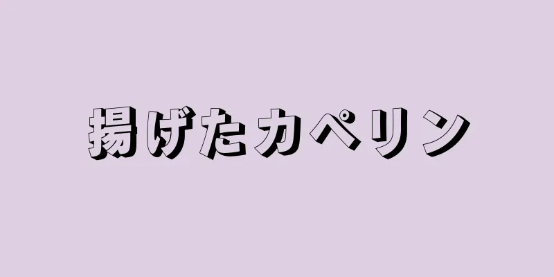 揚げたカペリン