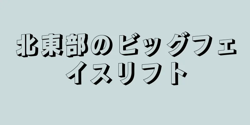 北東部のビッグフェイスリフト