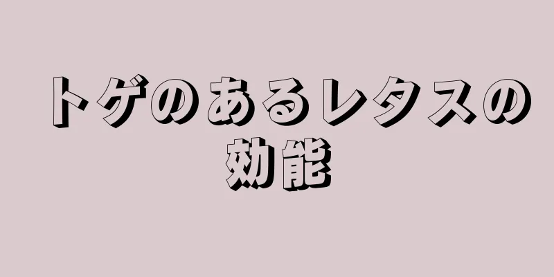 トゲのあるレタスの効能