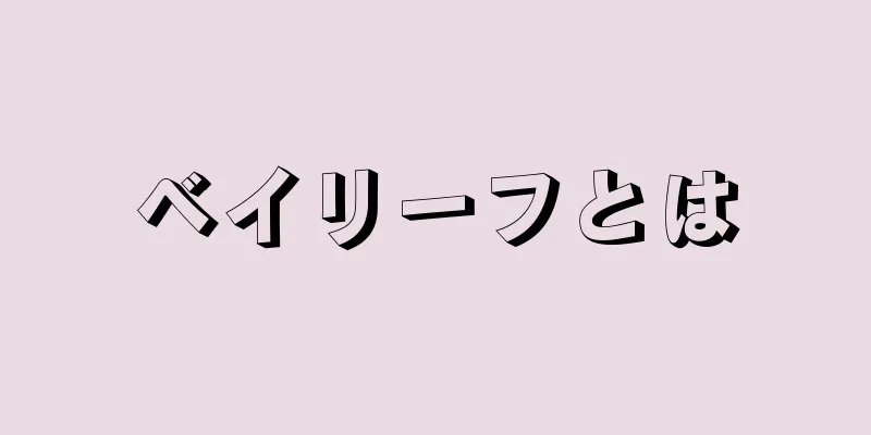 ベイリーフとは