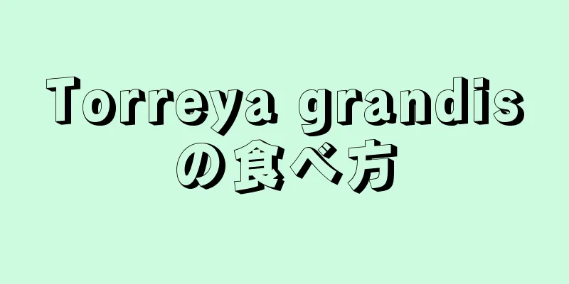 Torreya grandisの食べ方