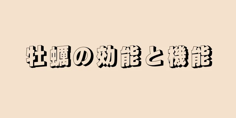 牡蠣の効能と機能