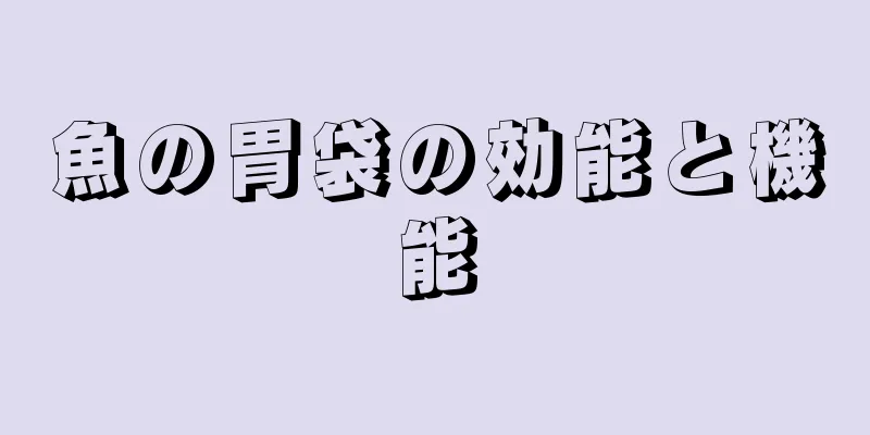 魚の胃袋の効能と機能