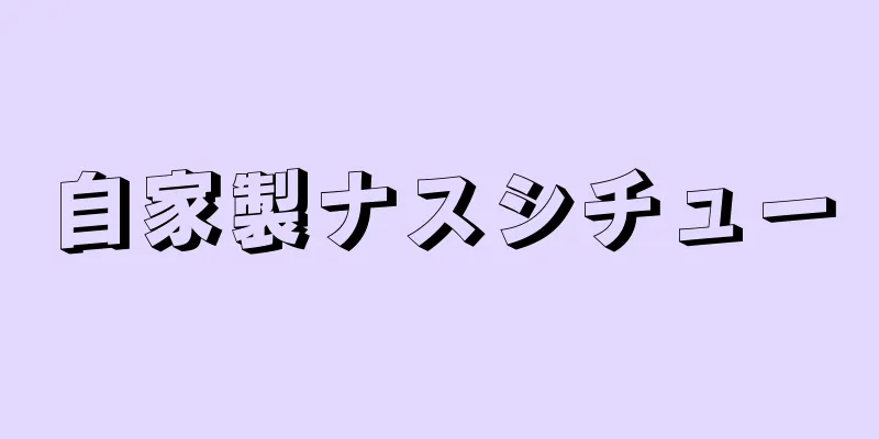 自家製ナスシチュー