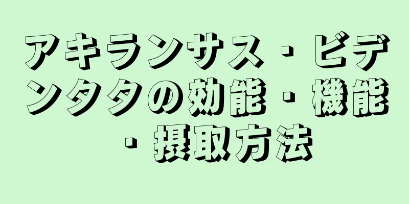 アキランサス・ビデンタタの効能・機能・摂取方法