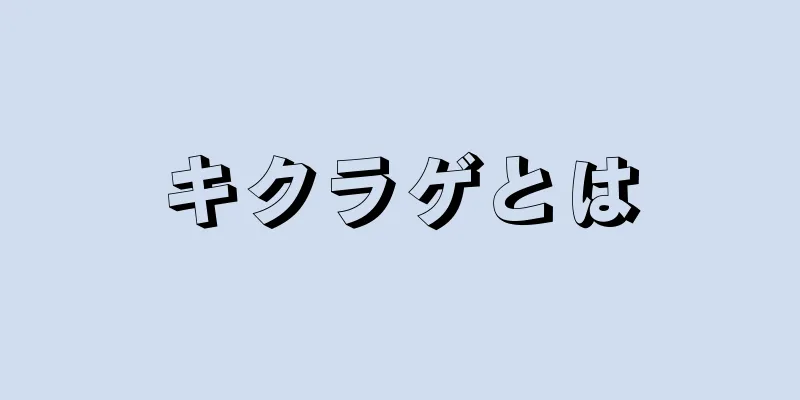 キクラゲとは