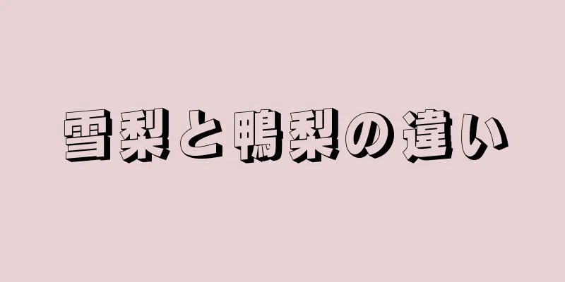 雪梨と鴨梨の違い