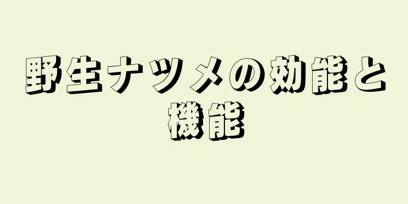 野生ナツメの効能と機能