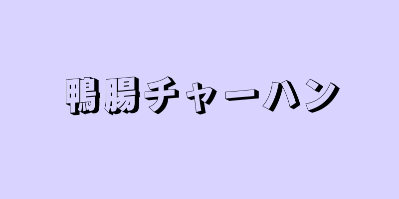 鴨腸チャーハン