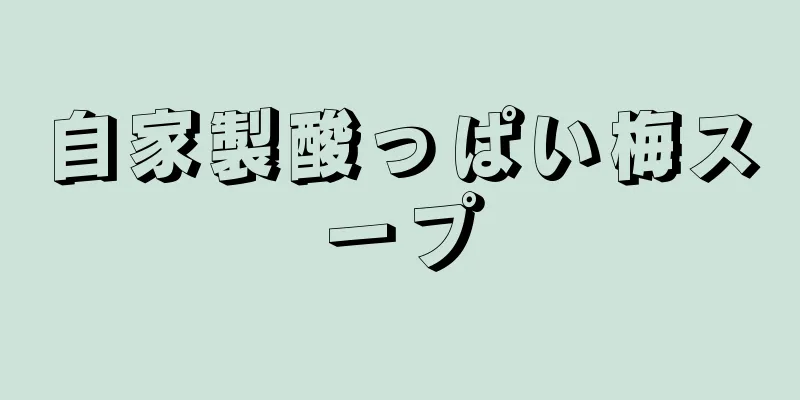 自家製酸っぱい梅スープ