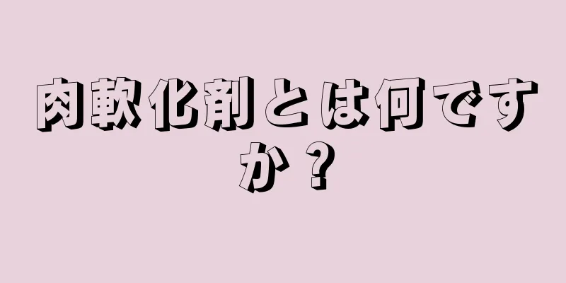 肉軟化剤とは何ですか？