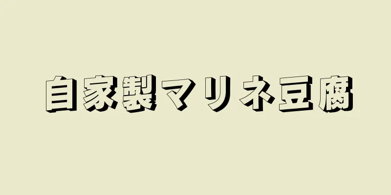 自家製マリネ豆腐