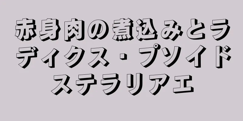 赤身肉の煮込みとラディクス・プソイドステラリアエ