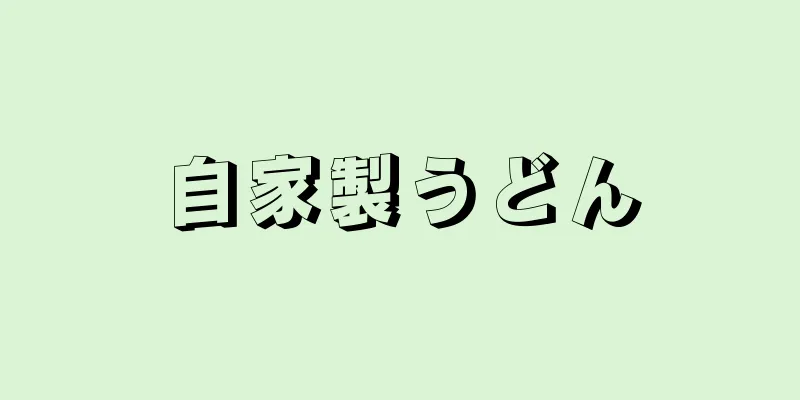 自家製うどん