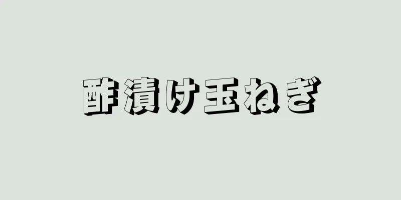 酢漬け玉ねぎ