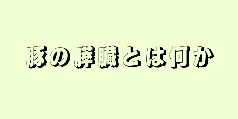 豚の膵臓とは何か