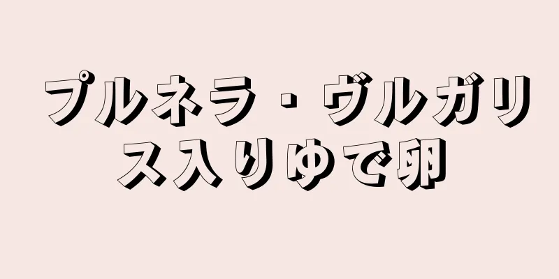 プルネラ・ヴルガリス入りゆで卵