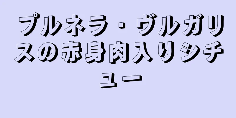 プルネラ・ヴルガリスの赤身肉入りシチュー