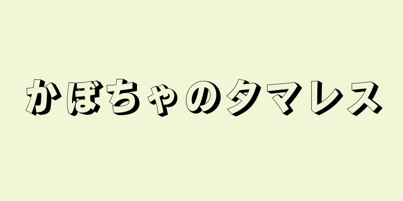 かぼちゃのタマレス