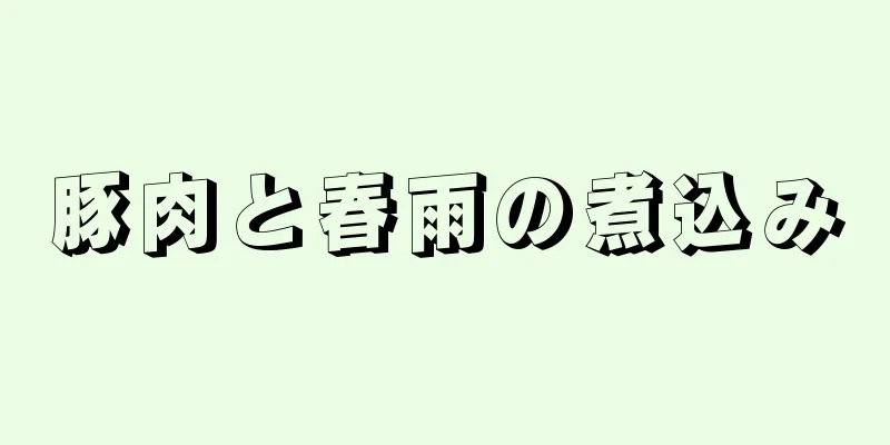 豚肉と春雨の煮込み