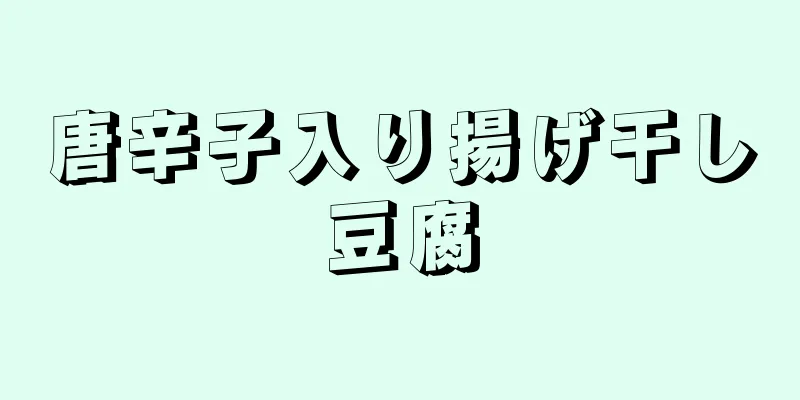 唐辛子入り揚げ干し豆腐