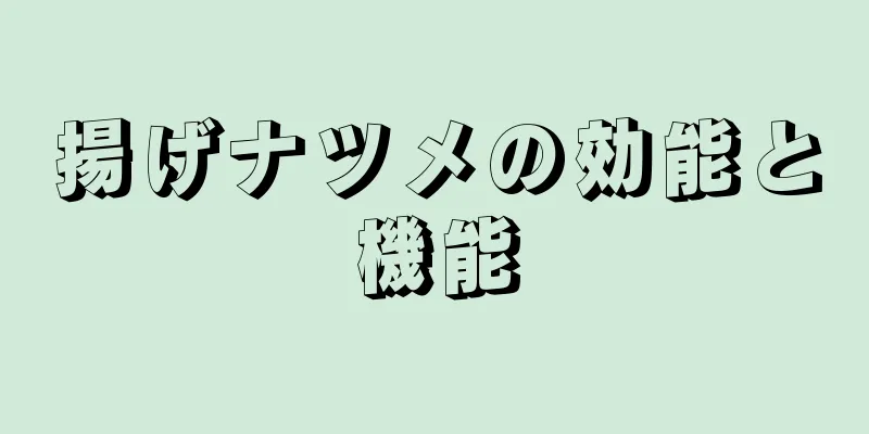 揚げナツメの効能と機能