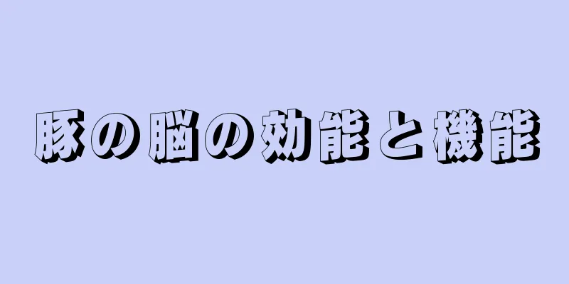 豚の脳の効能と機能