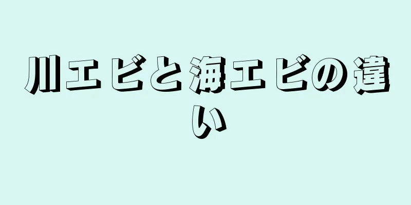 川エビと海エビの違い