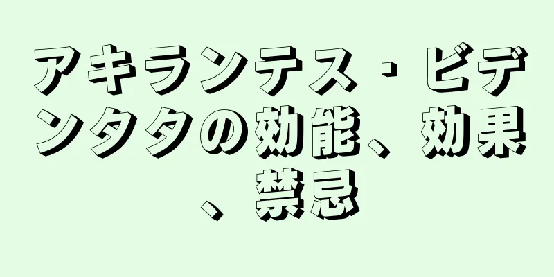 アキランテス・ビデンタタの効能、効果、禁忌