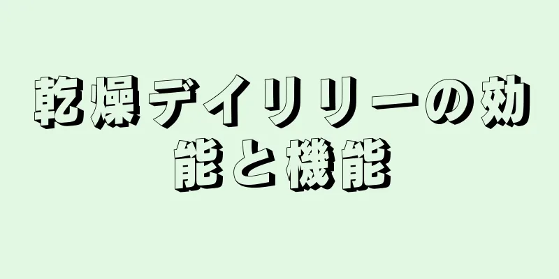 乾燥デイリリーの効能と機能