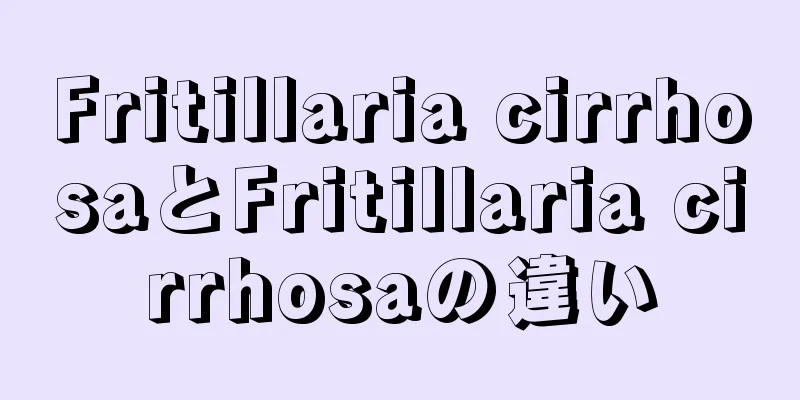 Fritillaria cirrhosaとFritillaria cirrhosaの違い