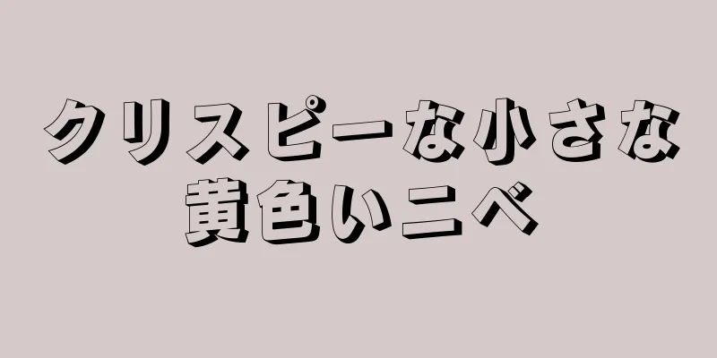 クリスピーな小さな黄色いニベ