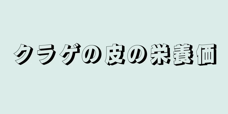 クラゲの皮の栄養価