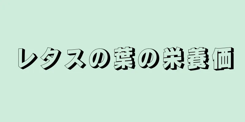 レタスの葉の栄養価