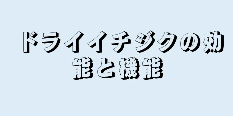 ドライイチジクの効能と機能