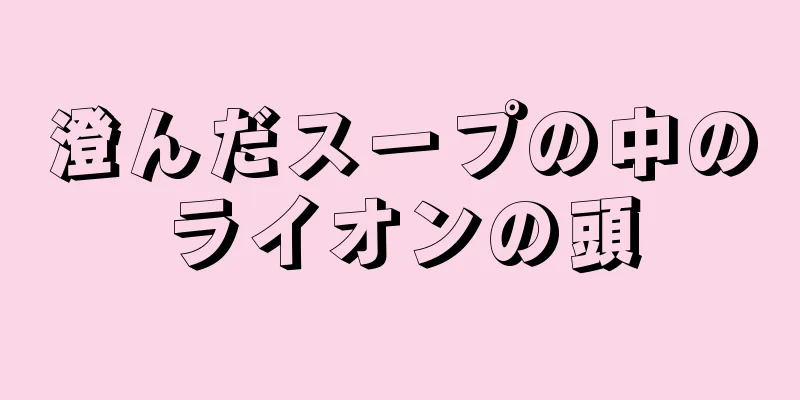 澄んだスープの中のライオンの頭