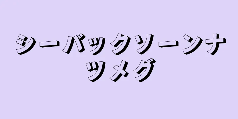 シーバックソーンナツメグ